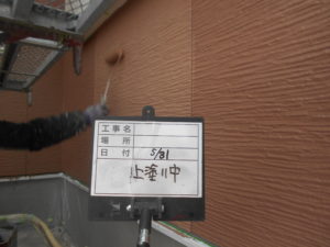 外壁上塗り(上塗り2回目)