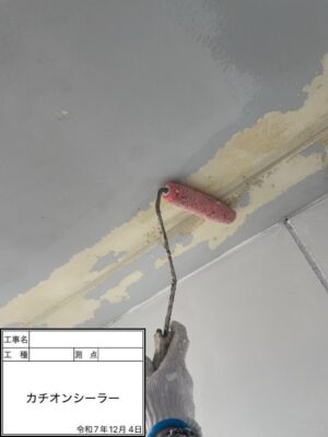 カチオンシーラー