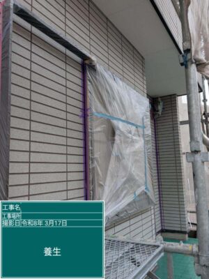 養生