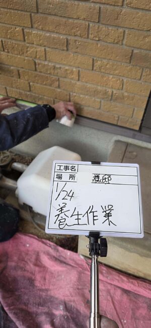 養生