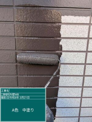 WBアートA色