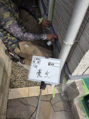 養生