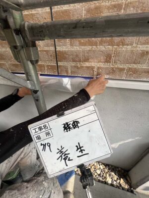 養生
