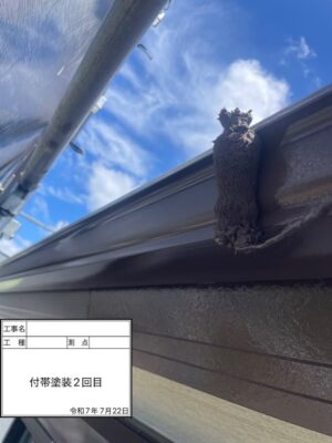 付帯塗装2回目