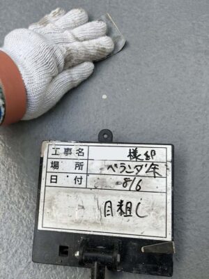 目粗し