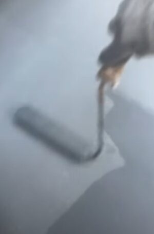 ベランダ塗装2回目