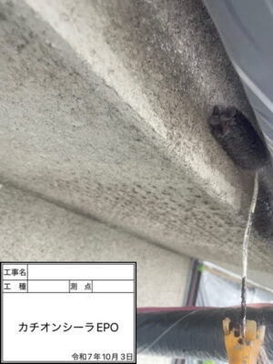 カチオンシーラーEPO