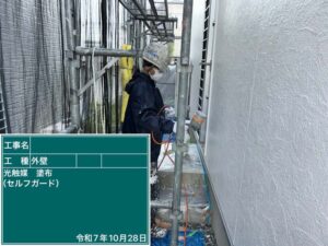 光触媒