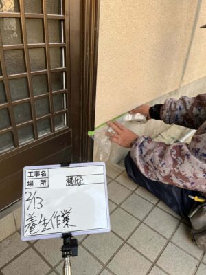 養生