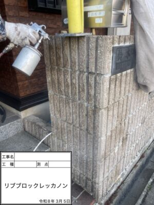 レッカノン
