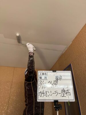 カチオンシーラー
