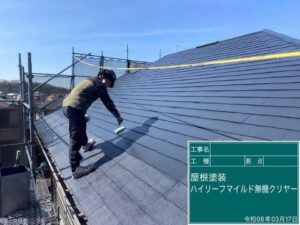 ハイルーフマイルド無機