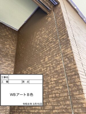 WBアートB色